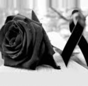 Meet your Posher, Martha